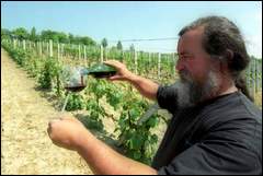 Fot. Krzysztof �okaj