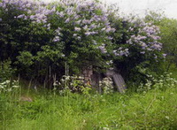 fot. Winnica Cieplice Zdr�j