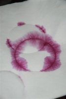 Konwent Winiarzy Niepo�omice