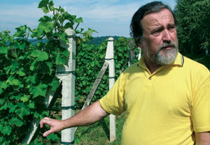 Roman My�liwiec - Winnica Golesz