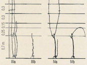Wyprowadzenie sznura Guyota