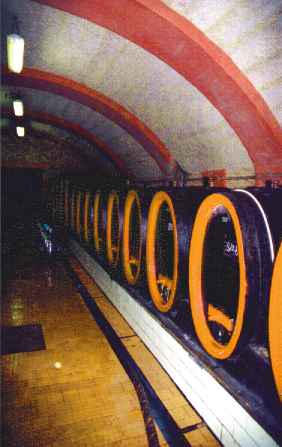 Zak�adanie i prowadzenie winnicy